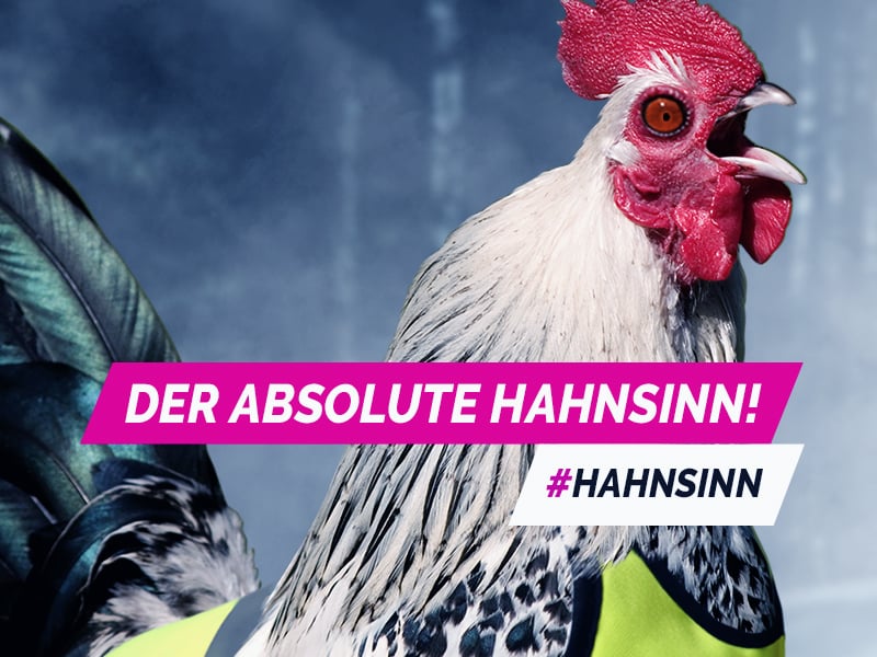 EFR/Continental Online-Marketing "Der absolute Hahnsinn!"